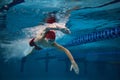 Freestyle stroke. Focused young man, swimmer in motion in swimming pool, training. Athleticism and competitive spirit
