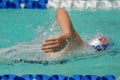 Freestyle swimmer Royalty Free Stock Photo