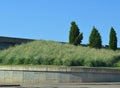 Freeway plantings low water plants Royalty Free Stock Photo