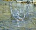 A  freez shot of a stone getting splashed in water Royalty Free Stock Photo