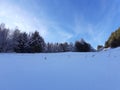 Freez trees snow sky land