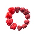 Freeze dried and fresh raspberry on a white background in the circle Royalty Free Stock Photo