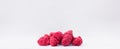 Freeze-dried raspberries on a white background Royalty Free Stock Photo