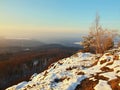 Freeze fallen trunk covered with fresh snow. Royalty Free Stock Photo