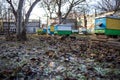 Freeze on the ground on apiary in winter. Warm days in December. Putting hives for transfer to winter. Freeze on apiary with honey