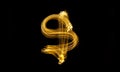 Freeze light photo. Abstract pattern background. Dollar sign. Economy crisis, poverty, unemployment concept. Consequences of