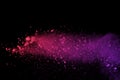 Freeze motion of colored powder explosion isolated on black background. Abstract of Multicolor dust splatted. Royalty Free Stock Photo