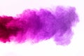 Freeze motion of colorful dust explosion isolated. colored powder explosion on white background. Royalty Free Stock Photo