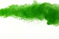 Freeze motion of Green powder exploding on white background. Royalty Free Stock Photo