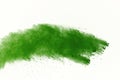 Freeze motion of Green powder exploding on white background. Royalty Free Stock Photo