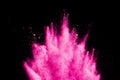 Freeze motion of pink powder exploding. Royalty Free Stock Photo
