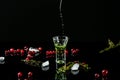 Freeze motion shot absinthe poured into a glass. bottle of absinthe with cranberries and lime isolated on black background. space Royalty Free Stock Photo