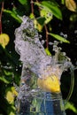 Freeze Motion of Water Spilling out of Glass Pitcher with Lemon Inside Royalty Free Stock Photo