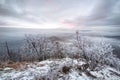 Freeze New Year morning. Amazing frozen winter forest landscape