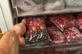 Freezing berries for the winter. Packaged frozen berries in plastic bags. In the freezer