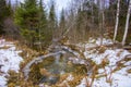 Freezing Creek In A Forest Royalty Free Stock Photo