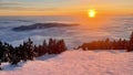 Freezing fog on summit of Mount Seymour