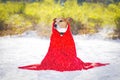 Freezing icy dog in snow Royalty Free Stock Photo