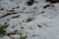 Freezing and muddy winter landscapes in England