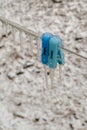 Freezing rain. Frozen clothespins on a clothesline are a natural disaster Royalty Free Stock Photo