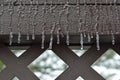 Freezing Rain Royalty Free Stock Photo