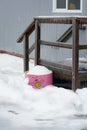 Ice covered doorsteps of portable building with pink flowerbed on side Royalty Free Stock Photo