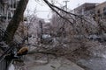 The freezing rain storm has damaged a tree in Montreal