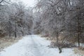 Freezing rain storm in ontario Royalty Free Stock Photo