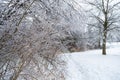 Freezing rain storm in ontario Royalty Free Stock Photo