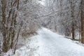 Freezing rain storm in ontario Royalty Free Stock Photo