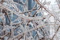 Freezing rain Royalty Free Stock Photo