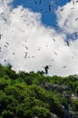 Fregate bird flying over the island Royalty Free Stock Photo