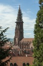 Freiburg, Germany - Freiburger MÃÂ¼nster, The Cathedral of Our Lady Royalty Free Stock Photo