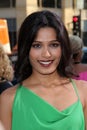 Freida Pinto Royalty Free Stock Photo