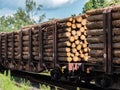 Freight cars loaded with wood logs on railway tracks