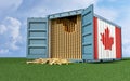 Freight Container with Canada flag filled with Gold bars. Some Gold bars scattered on the ground