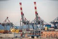 Freight Cranes in La Spezia. Mediterranean Shipping Harbor in evening