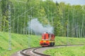 Freight diesel locomotive. Royalty Free Stock Photo