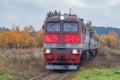 Freight locomotive moves in the forest