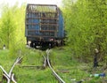 Freight railway car on the tracks of the old railway in the forest Royalty Free Stock Photo