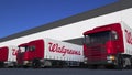 Freight semi trucks with Walgreens logo loading or unloading at warehouse dock. Editorial 3D rendering