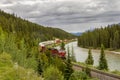 Freight Train in the Bow Valley - Banff National Park Royalty Free Stock Photo