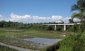 Freight train on the bridge over the rice field Royalty Free Stock Photo