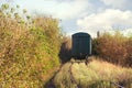 Freight train leaving for the forest tunnel in the autumn day Royalty Free Stock Photo