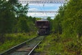 The freight train moves along the rails in the middle of the forest