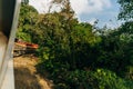 The freight train passes by the forest. Wagons with goods delivery. Royalty Free Stock Photo