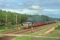 Freight train passing the forest Royalty Free Stock Photo