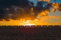 Freight train passing on on the horizon of field in the American countryside. Sunset light and the stormy sky Royalty Free Stock Photo