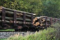 Freight train with tree trunks passing forest Royalty Free Stock Photo