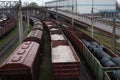 Freight trains on city cargo terminal Odessa Royalty Free Stock Photo